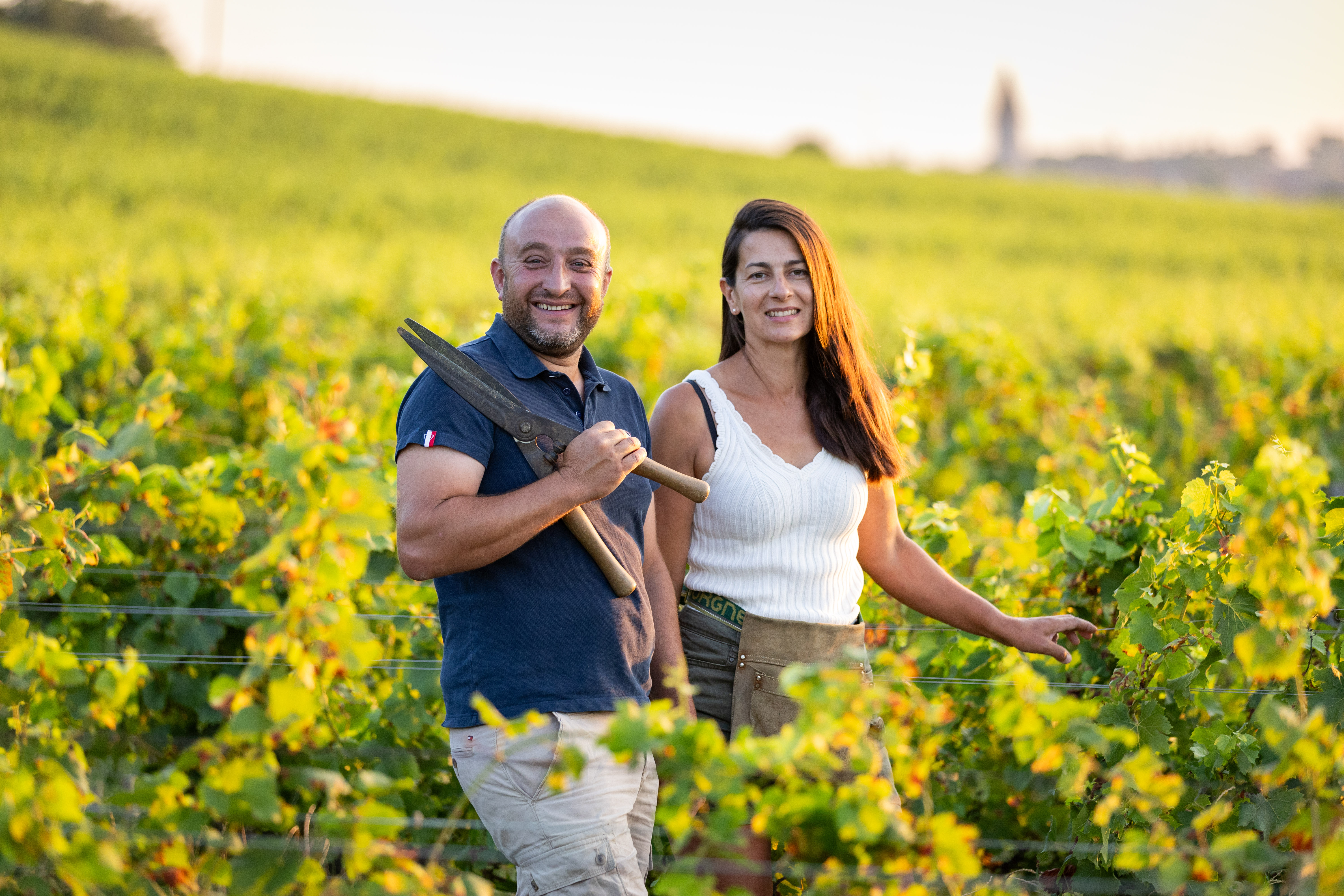 Domaine Vincent Ledy  