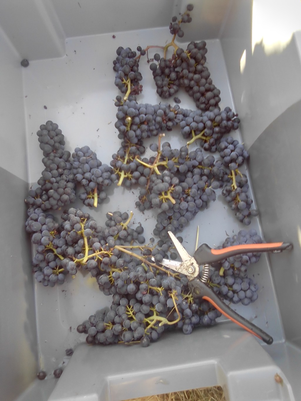 Domaine Vincent Ledy –&nbsp;recrutement